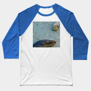 Smiling seals Baseball T-Shirt